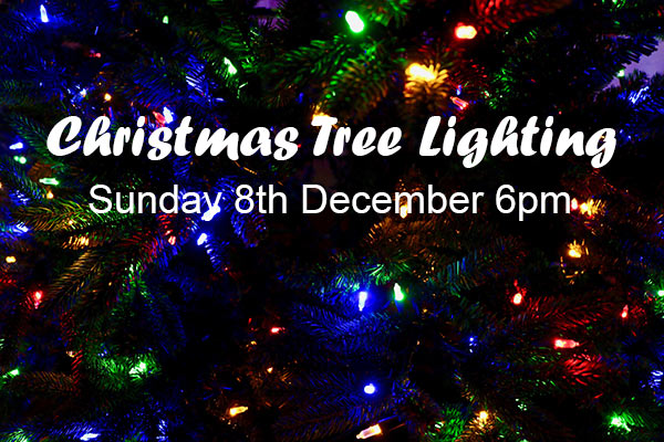 Christmas Tree Lighting